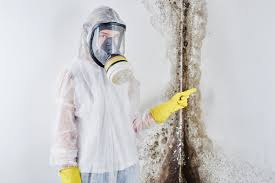 Best Industrial Mold Remediation in USA